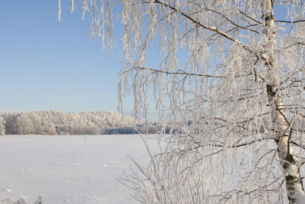 tuotteet Integroitu sopimustuotanto, läpinäkyvä dokumentaatio Kurppa S. ym. 2015.