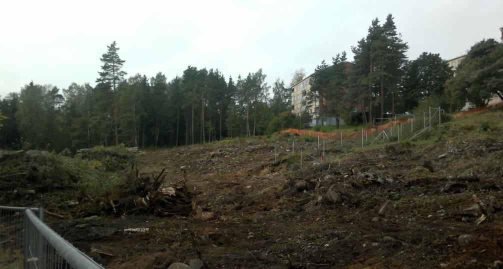 Suunnittelusta opittua: Pintamaan kuorinta-alueet tulee kartoittaa kasvilajiston mukaan: siirtyvä siemenpankki, kasvilajisto ilmentää myös maaperää Täyttösuunnitelma tulee esittää korkeuskäyrin ja