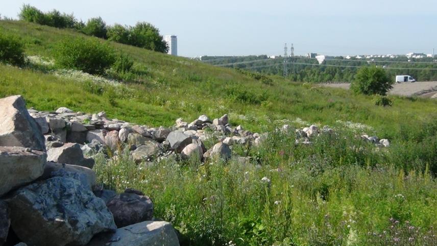 Kasvualustojen kierrätyshankkeita Helsingissä Vuosaarenhuippu, kaatopaikka ja ylijäämämaiden läjitysalue, v.