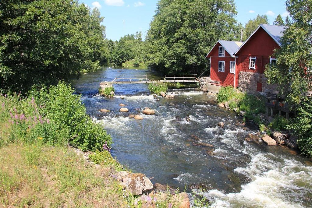 Kuva 17. Faltunkoski alkaa noin 70 m metriä ennen vanhaa sahapatoa, ja patoa seuraa kosken jyrkin osuus. Kuva 18.