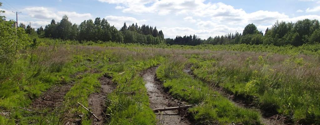 FCG SUUNNITTELU JA TEKNIIKKA OY Joutenlahden alue 7 (14) Luontoselvitys Kuva 7. Näkymä Joutenlahden alueen eteläosista. Kuva 8.