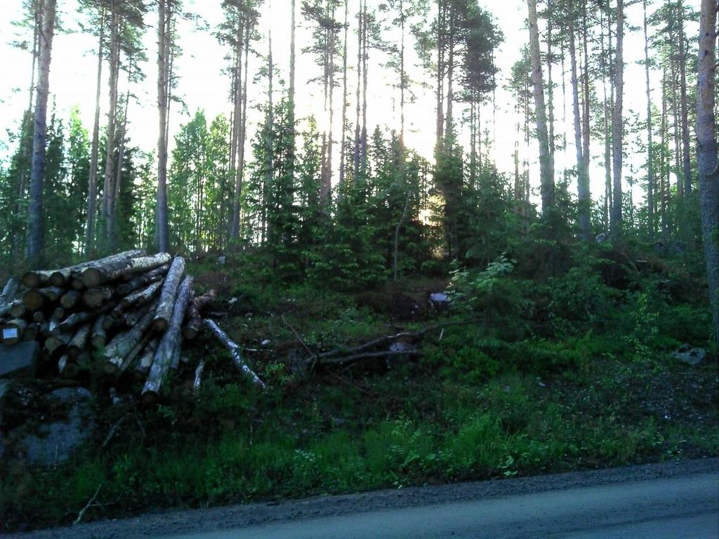 FCG SUUNNITTELU JA TEKNIIKKA OY Hautalahden alueen luontoselvitys 14 (18)