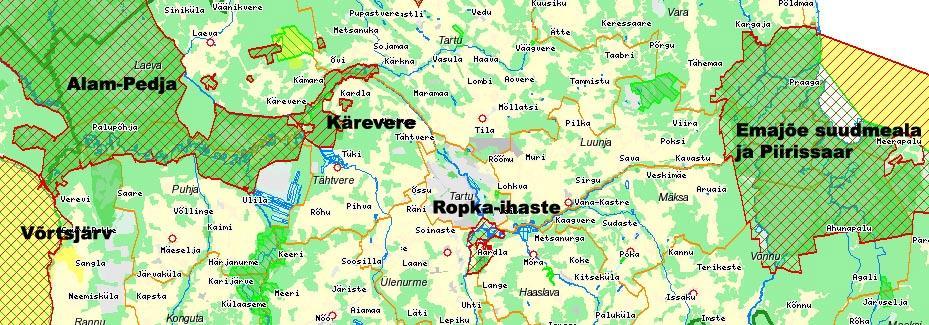 Natura 2000 ala hindamisel arvestatakse Alam-Pedja linnu- ja loodusala (ALL) kaitsekorralduskava 2016 20125 ja Alam-Pedja looduskaitseala kaitse-eeskirjas esitatud põhimõtteid ja kehtestatud