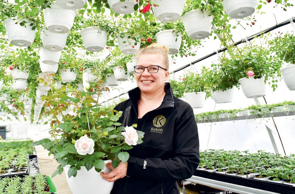 Verkostoissa onnistut Äänekosken kaupungissa toimii yli tuhat yritystä. Globaalit metsä-, bio- ja teknologiayritykset ovat kasvattaneet ympärilleen muuta yritystoimintaa.