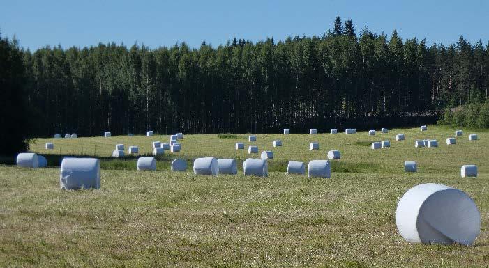 7 ELINKEINOT JA TYÖPAIKAT Elinkeinoihin liittyen maakuntakaavan tarkistuksella vaikutetaan mm.