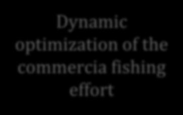 COMMERCIAL COASTAL TRAP NET FISHING Dynamic optimization of the commercia fishing effort HH vv ii,tt = 1 ee qq iiee vv,tt hrr ii ss ii,tt 10 ππ vv,tt =