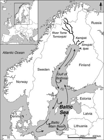 Migration routes Trap net fishery 3