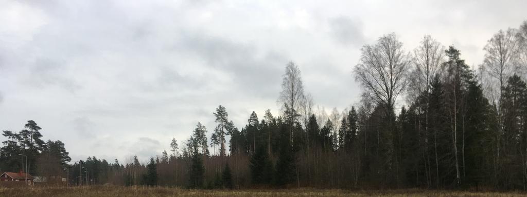 ASKOLAN KUNTA Sorvasuontien varren asemakaava (tilat ja ) Osallistumis- ja arviointisuunnitelma OSALLISTUMIS JA