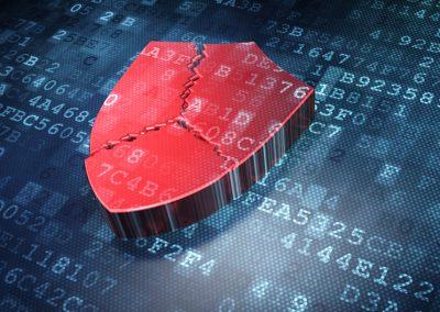 Direktiivi velvoittaa huoltovarmuuskriittiset yritykset ja keskeiset digitaalisten palvelujen tarjoajat kattavaan tietoturvariskienhallintaan, ja tiedottamaan yhteyksien ja verkkopalveluiden