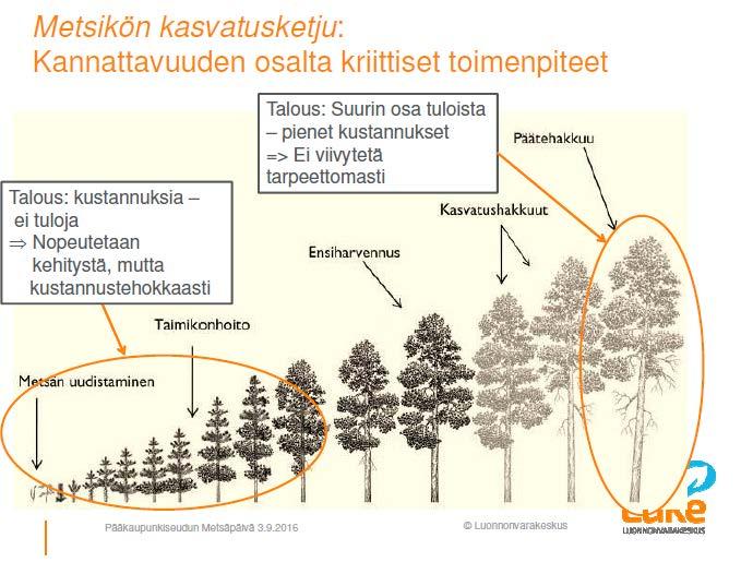 Lähde: Jari Hynynen &