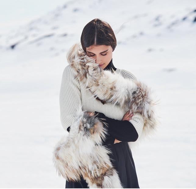 SAGA FURS OYJ: HALLITUKSEN