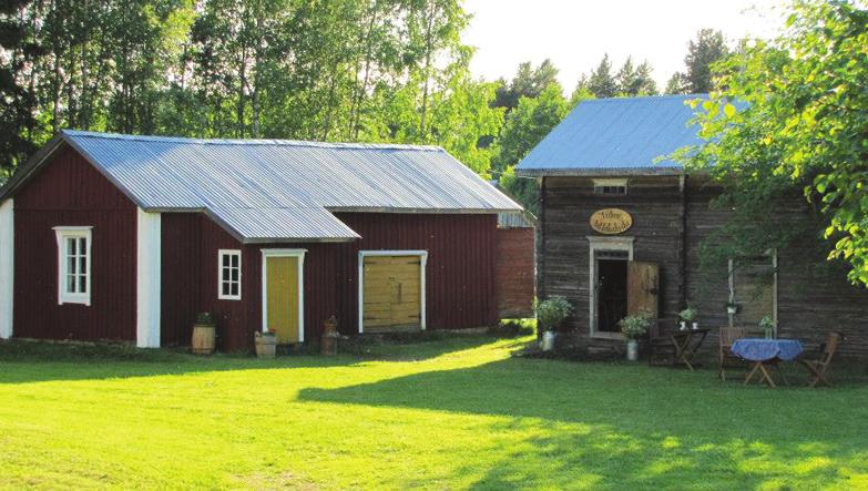 P YHÄJOEN KUULUMISET LAUANTAI 10.8.