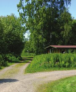Pyhäjoen Kuulumiset 10.8.