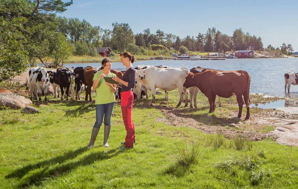 TUOTOSTUTA TUOTOSTUTA ATEGORIA TIETO TUO TULOSTA Tuotostutka-lypsyrobottiseuranta tarjoaa maidontuottajille tukea lehmien ruokinnan suunnitteluun ja tuotosseurantaan.