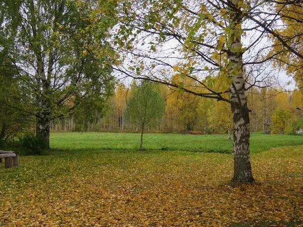25 Pöppölä, asuinpaikan itäinen alue.