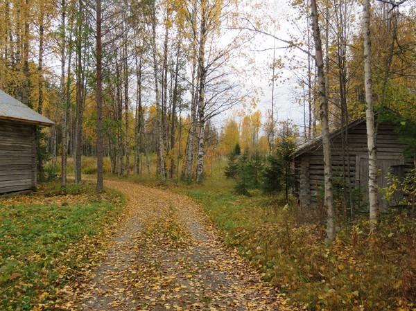 29 4. Jokela 78500044 R52L 344 02 Asuinpaikat P: 758943 I: 500828 Kivikautinen Inventointilöydöt - KM 3862:7 KM 303 Leena Tomanterä ja Marja Mustakallio inventointi 969 Z 27-30 m