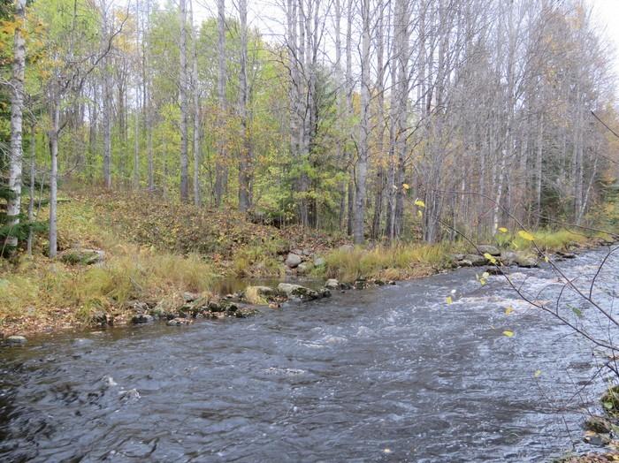 3 43. Leinolankoski 2 - R52L 344 0 Työ- ja valmistuspaikat P: 7589 I: 50887 Vesimyllyn paikat Z 24 m Historiallinen GPS-mittaus Ajoitustarkenne Uusi aika Kuvaus: Leinolankosken keskivaiheilla on joen