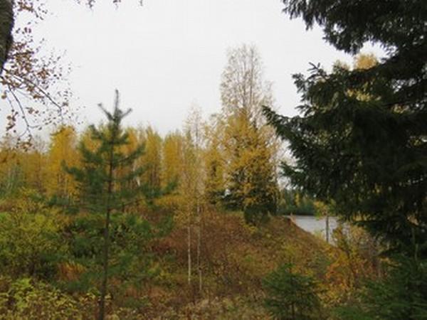 42 Kuvaus: -rekisterin kuvaus: Asuinpaikka sijaitsee Jylhämän voimalaitoksesta noin 2,2 km pohjoisluoteeseen, Oulujokeen pohjoisesta laskevan Kutujoen suulla olevan Mantereenlammen luoteisrannalla,