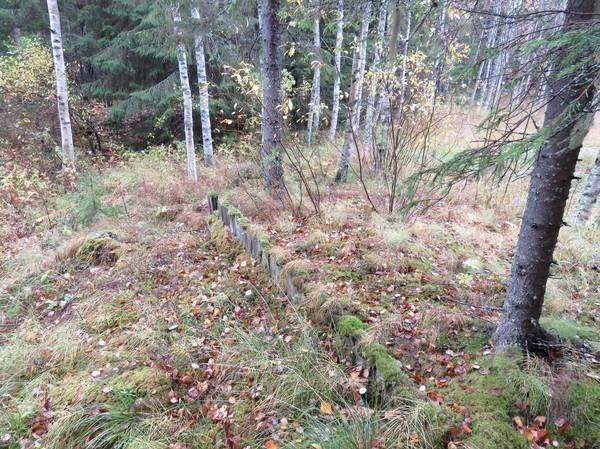 59-6), jonka koko on noin 6 x 4 m; kyseessä on mahdollisesti