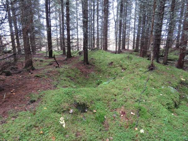 betonipylväät.