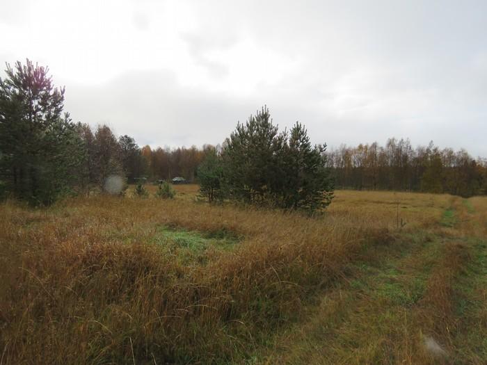 52 65. Koukkari 78500005 R4334L 344 09 Asuinpaikat P: 753255 I: 48435 Kivikautinen KM 2378:4 Neljä kiviesinettä, joiden olinpaikasta ei ole tietoa.