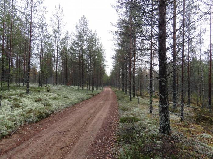 54 Tielinjaus Neittävän länsipuolella.