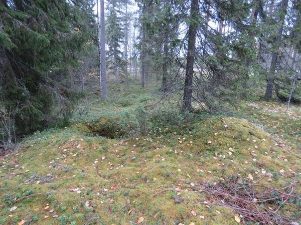 89 Pienankangas 2