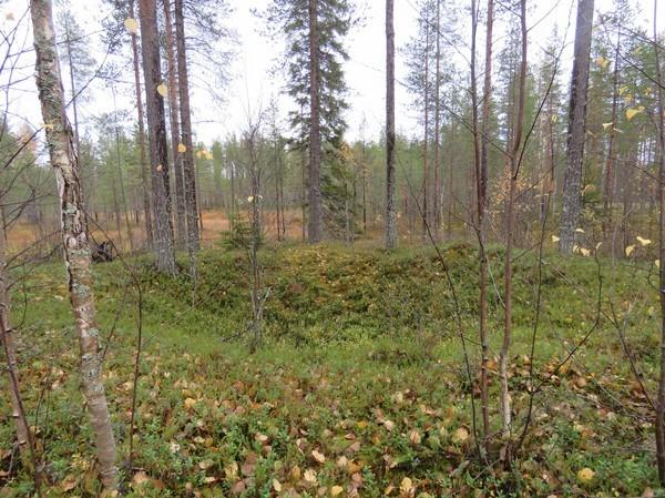Valkaisensuo