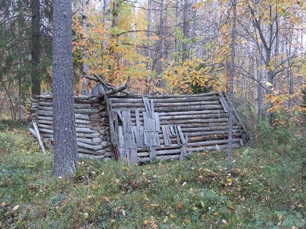 heinäladot Z 25 Uusin aika GPS-mittaus Kuvaus: Vanhalla metsittyneellä peltoalueella on