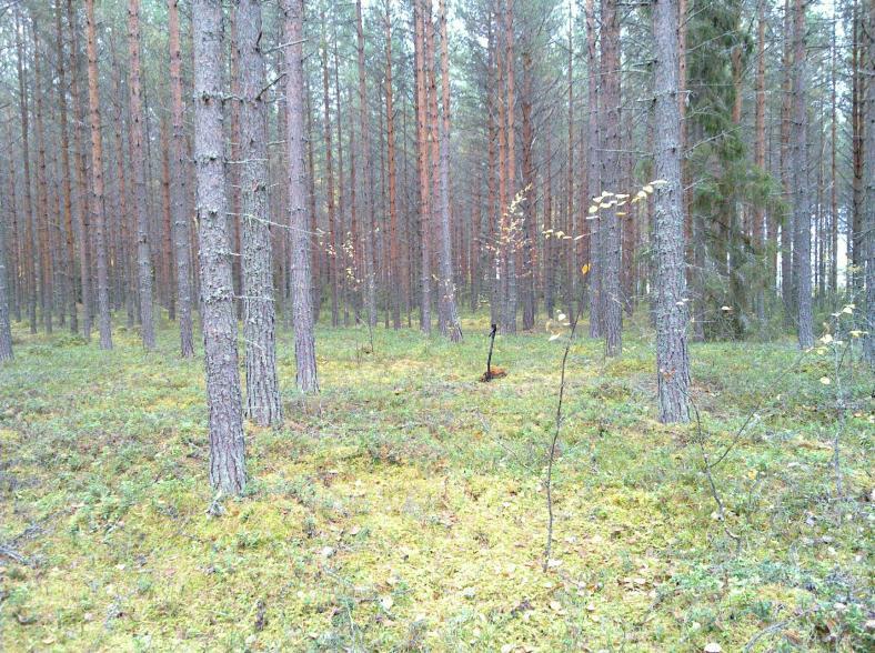 14 Asuinpaikkaa, yllä pohjoiseen alla etelään.