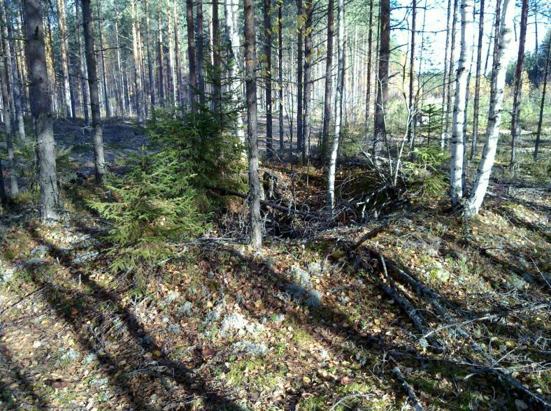 Paikka sijaitsee Suonenjoen kirkosta 5,70 km länteen. Huomiot: Paikalla on kaksi hiilihautaa, yksi tien kummallakin puolen.