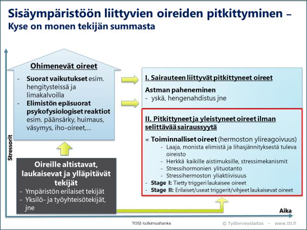 tutkimusten perusteella.