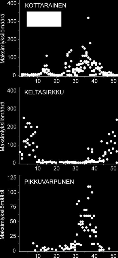 maksimiyksilömäärät viikoittain