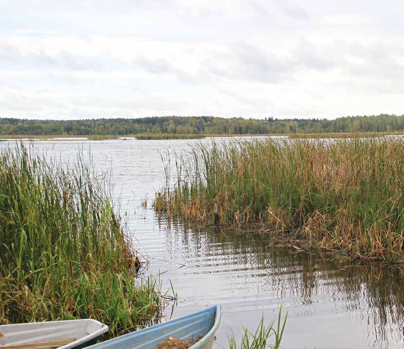 Luonnon isotoopit avuksi pohjavesitutkimuksissa Isotooppinäytteen pintaveden referenssipiste sijaitsee läheisen järven keskellä.