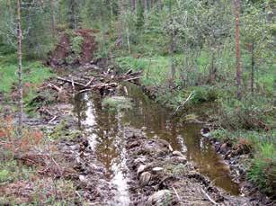 Vain harvoja Natura-alueita on kuitenkaan perustettu lähteiden suojelua varten, ja alueet sijaitsevat suurelta osin Pohjois-Suomessa; metsien arvokkaina elinympäristöinä suojellut kohteet kattavat