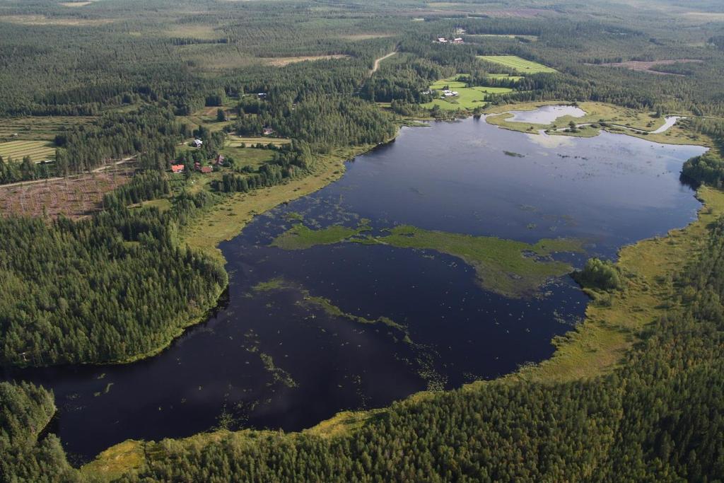 Pienvesitilaan vaikuttanut suo-ojitus ja metsätalous (kiintoaines, morfologia, connectivity ) Maankäytön