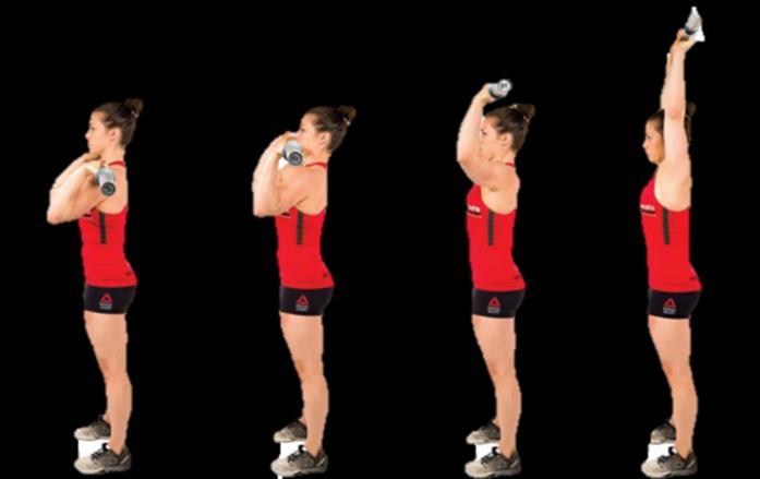 The Shoulder Press The Shoulder Press eli ylöstyöntö on perusta kaikkiin ylöstyönnettäviin liikkeisiin, joissa paino nostetaan pään yläpuolelle.