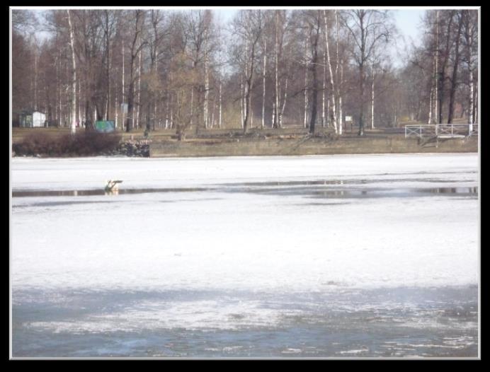 13 Jäänlähtöarvauskisa on ratkennut Pasi Lehtonen Lions Club Pori / Juhana ry Lions Club Pori / Juhana ry järjesti jo kuudennentoista kerran jäänlähtöarvauskisan.