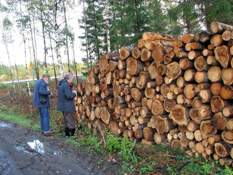 Oksanen Kuusen tuhonaiheuttajista juurikääpä hyötyy eniten metsän peitteisyyden