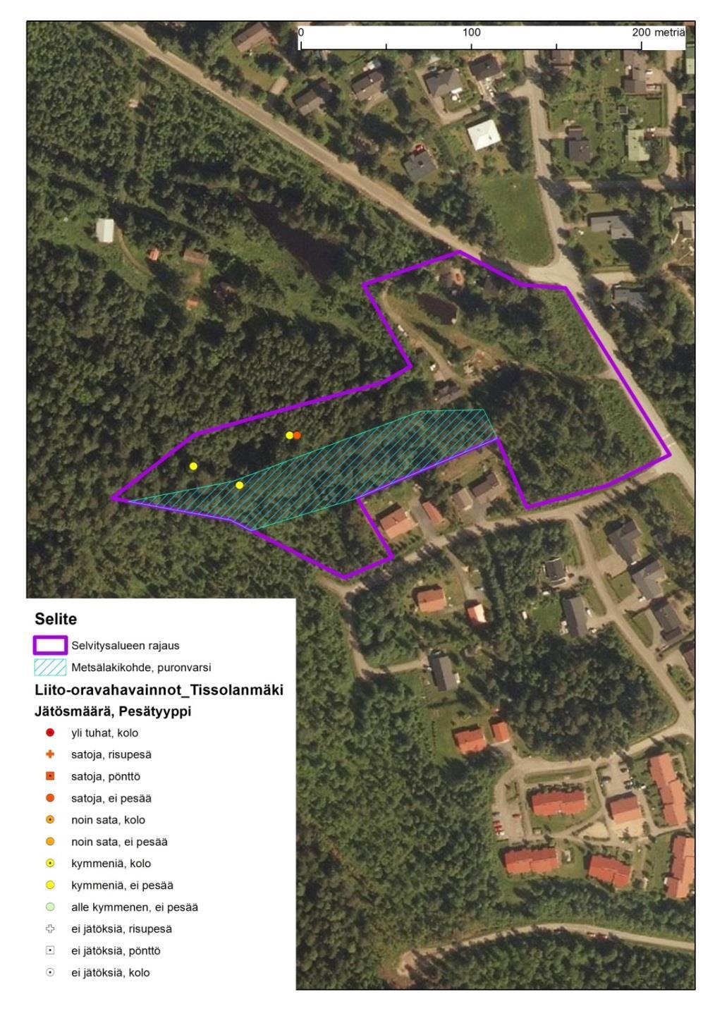 Kuva 4. Selvitysalueen liito-oravahavainnot ja metsälain 10 :n puronvarsialue.