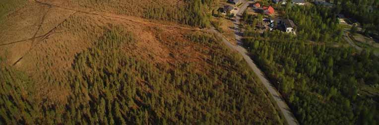 Ympäristövaikutusten arviointiselostus 119 Kiiminkijokilaaksossa voimajohto sivuaa Kiiminkijoen varrella olevaa Vesalan kylää (Kuva 76).