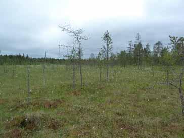120 Ympäristövaikutusten arviointiselostus Reittiosuus on maisemaltaan ja vaikutuksiltaan Kiimingin metsä- ja suoaluetta vastaava. Reittiosuuden varrella on lisäksi yksittäistä asutusta.