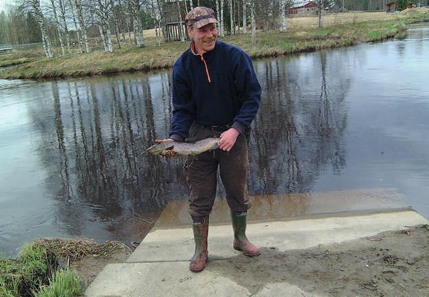 The Pyhäjoki recreation area, which is situated in the upper part of the river Pyhäjoki, is about km long.