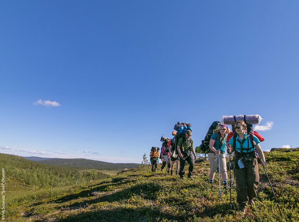 VAELTAJA, GO INTERNATIONAL!