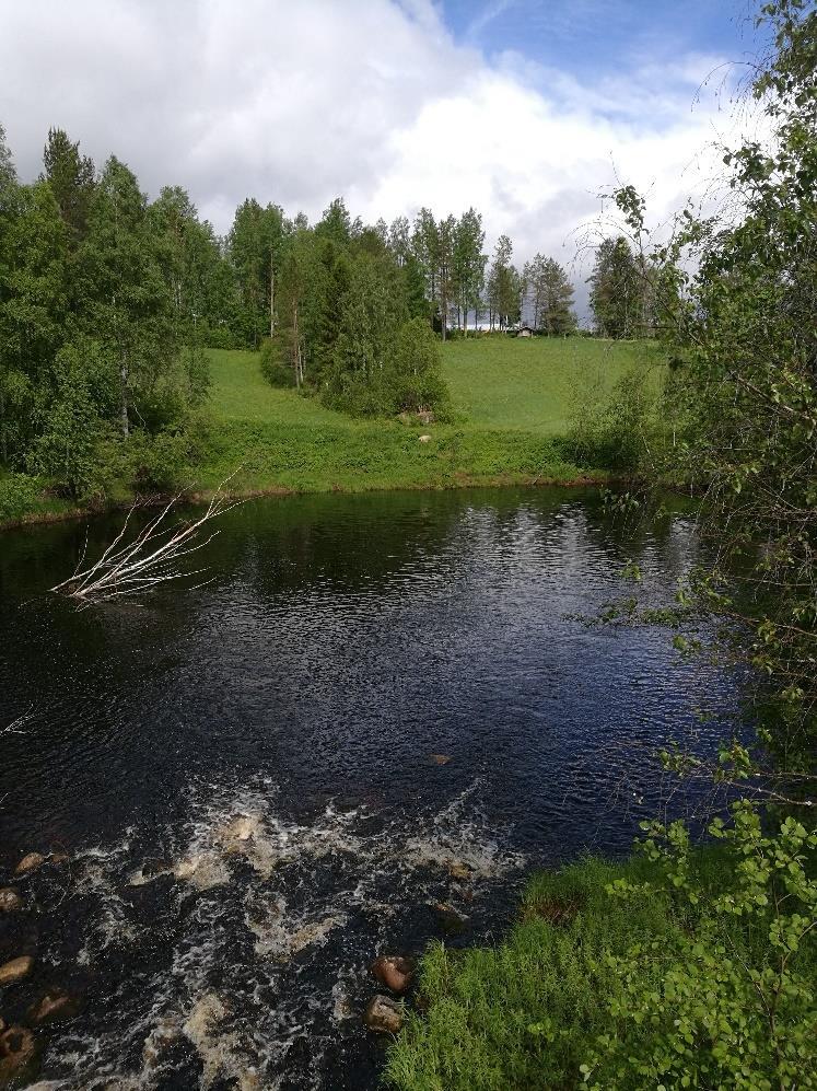 Vesistömaisemat: Rumonlampi ja Rumonjoki Rumonjoki Siitarin sillalta. Kuva: Päivi Härkin Rasimäellä vesistömaisemia on näkyvillä useassa paikassa.