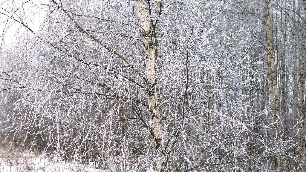 Vuoden 2017 alussa solmittu kilpailukykysopimus auttaa palauttamaan kadotettua kustannuskilpailukykyä.