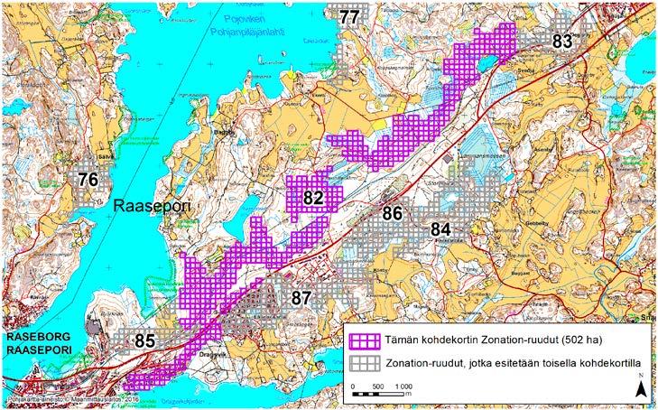 Raasepori, Zonation-aluetunnus 82 RAASEPORI (82) Alue on laaja, metsäinen jakso ensimmäisen Salpausselän alueella, Tammisaaren keskustasta koilliseen päin suunnilleen Dragsvikin ja Svedjan kylien