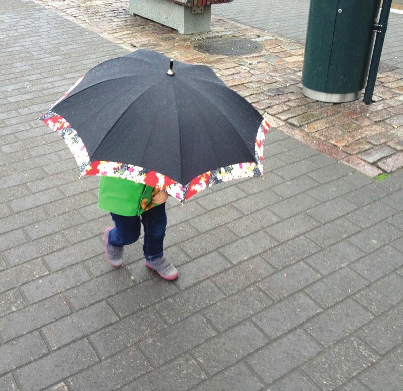 pienilmastolliset tavoitteet Sateen epämiellyttävyys lisääntyy viileällä ja tuulisella säällä. Sade tuo mukanaan myös hulevesiä, tulvia sekä talvisin lunta ja jäätä.