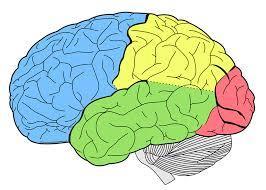 5 Aivojen näkökulmasta muisto on olemassa vain silloin, kun se on aktiivisena mielessäni.