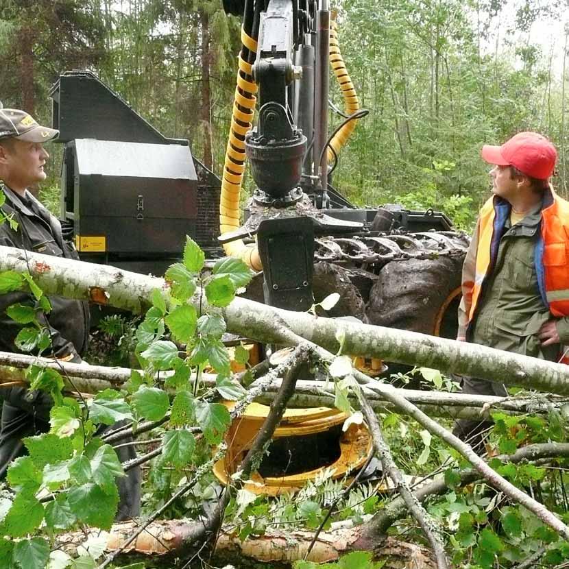 Taimikonhoito Lehtipuuvesakko ja heinä kasvavat nopeammin kuin pienet taimet. Kun kasvutila vähenee, taimet heikkenevät ja lopulta tukehtuvat muun kasvillisuuden alle.